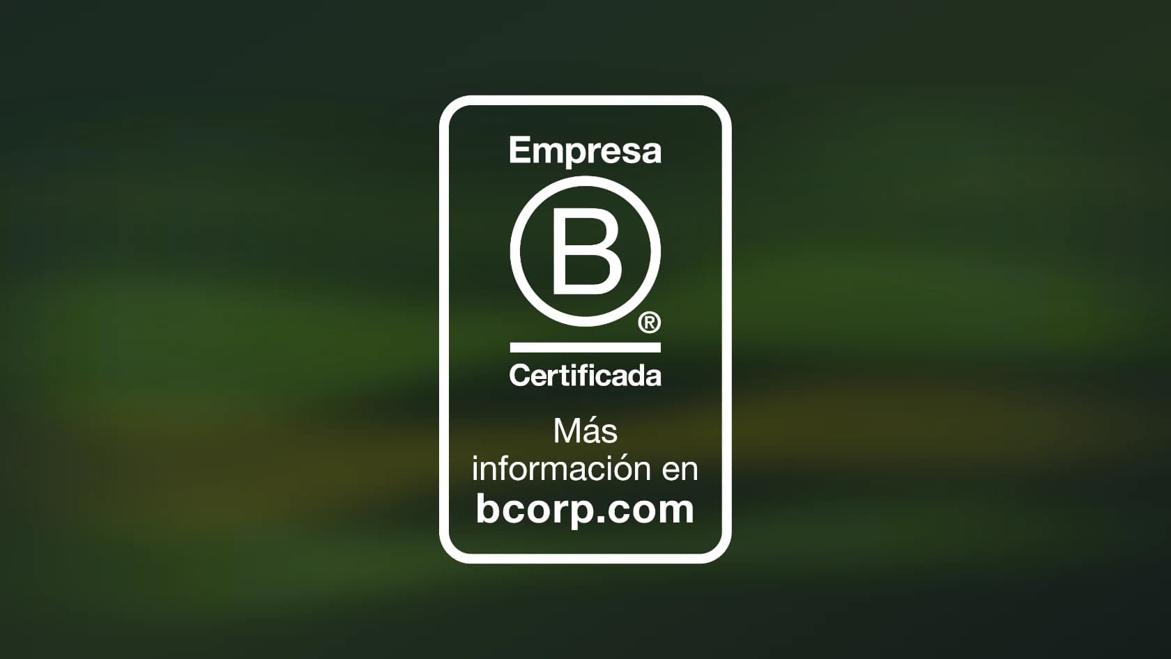 Distintivo Empresa B Certificada de S2G Energy